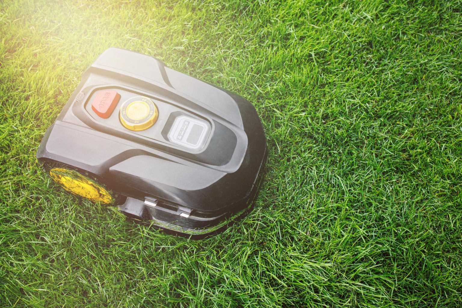 Meilleur robot tondeuse 2025 : Top 5 comparatif complet